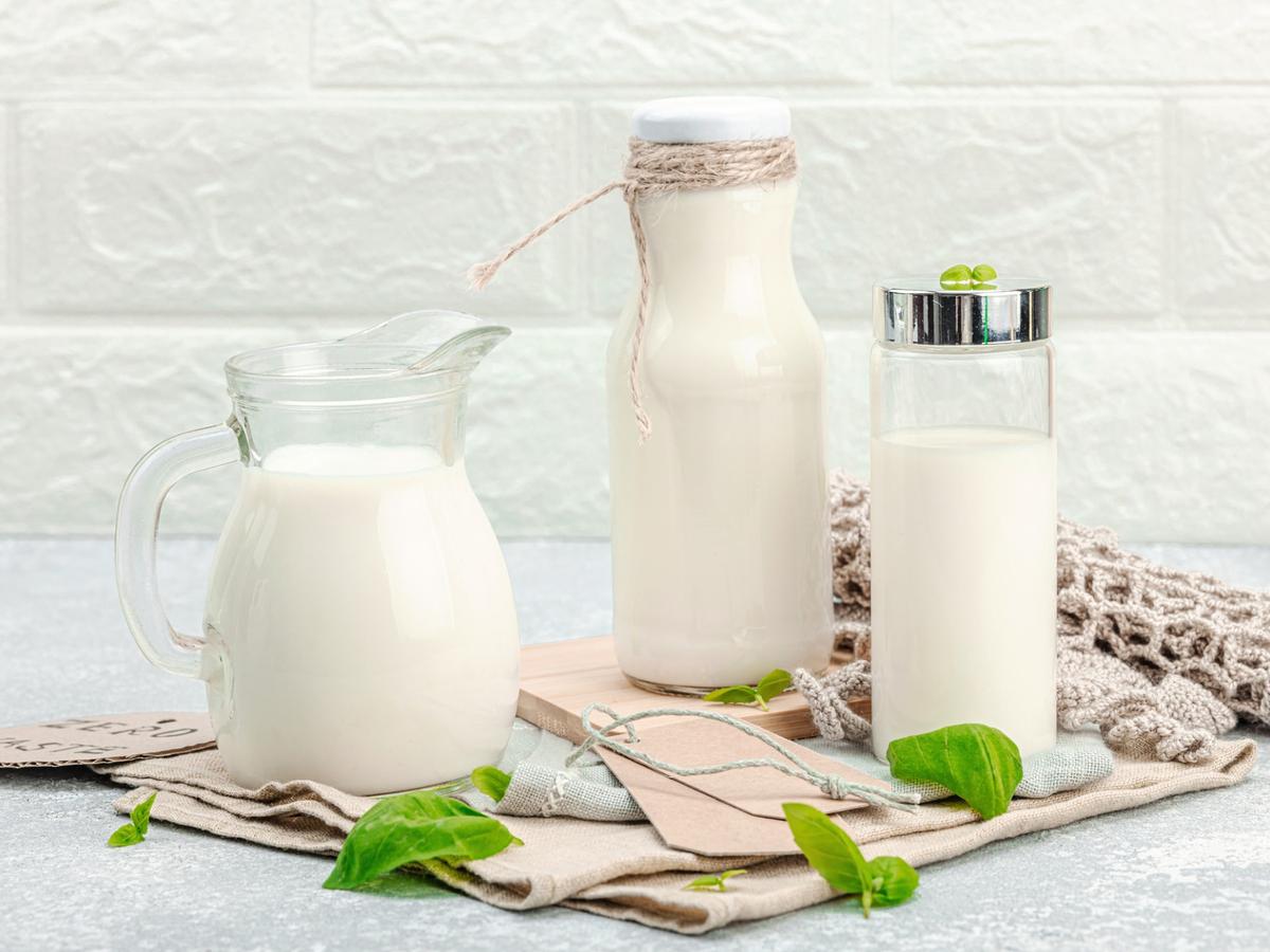 Journée mondiale du lait : tout savoir sur cet aliment incontournable (et 3 recettes essentielles)