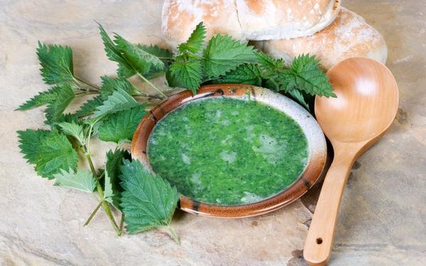 Soupe d'ortie