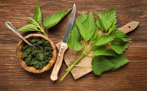 Pesto d'ortie