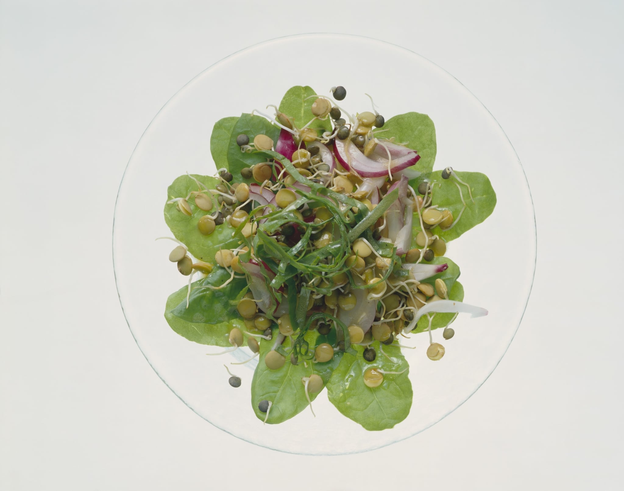Salade de germes de lentilles aux oignons et petites feuilles d'épinards