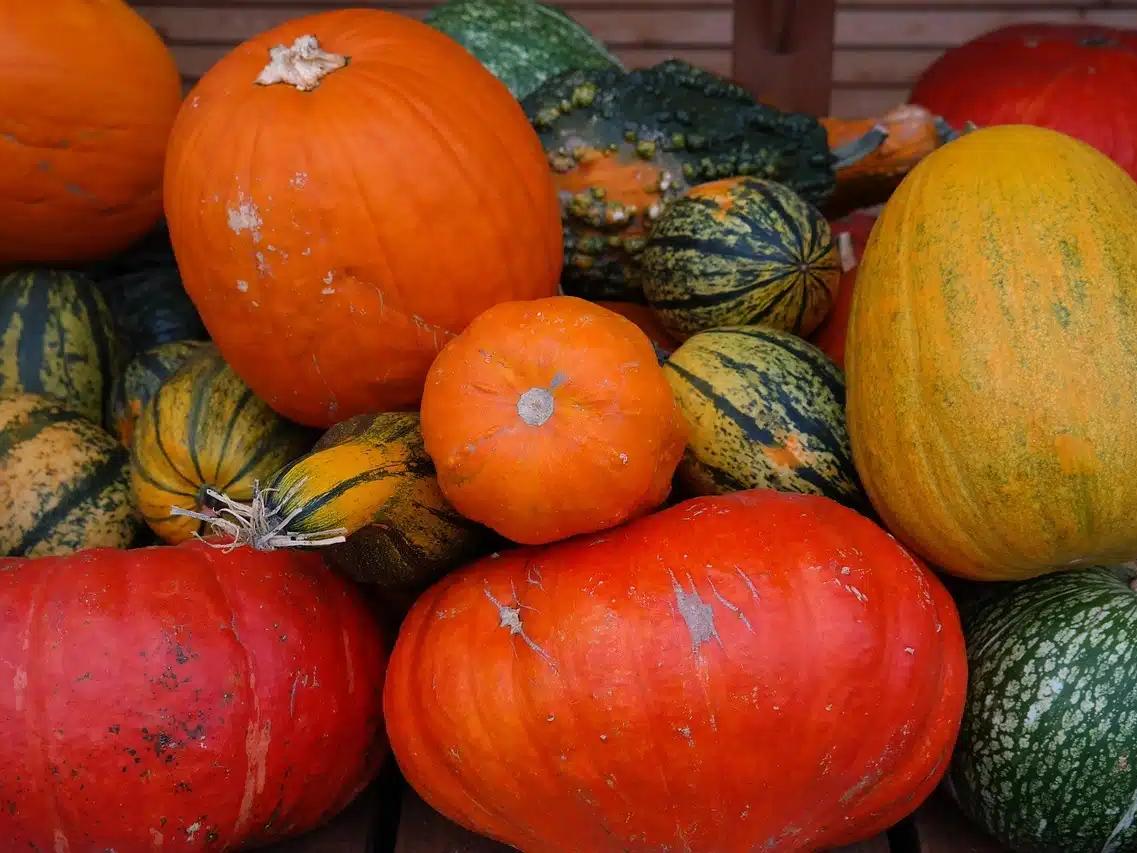 Guide complet des courges : variétés, astuces pour un épluchage rapide, cuisson et recettes