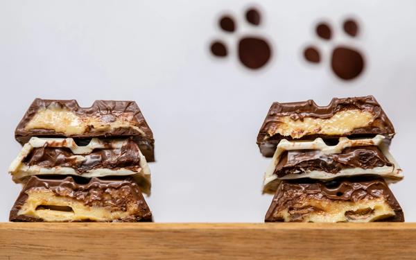 Barres de chocolat farcies décorées pour Pâques