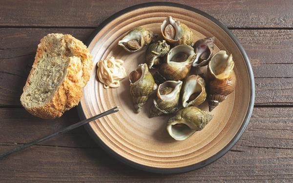 Bulots ou escargots de mer bouillis avec des herbes