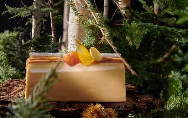 Bûche de Noël aux agrumes et chocolat blanc
