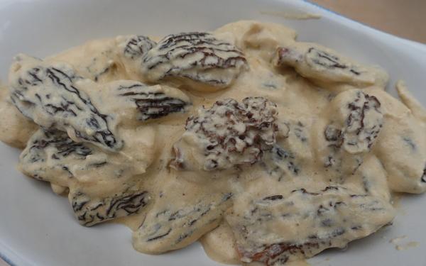 Recette sauce aux morilles facile