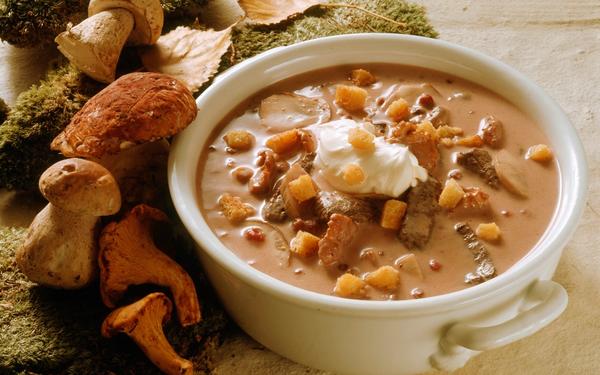 Soupe crémeuse de venaison (cerf) aux champignons