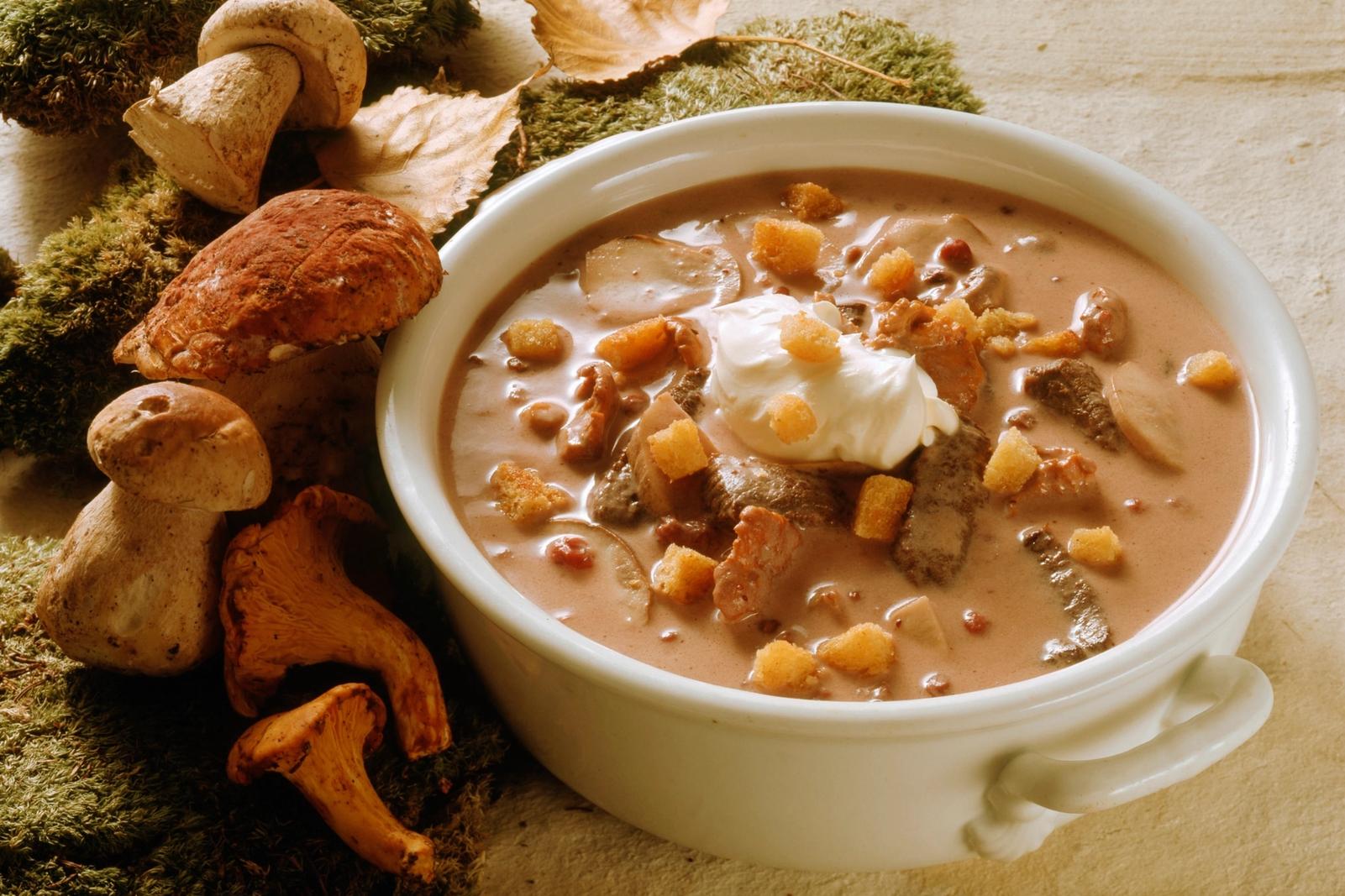 Soupe crémeuse de venaison (cerf) aux champignons