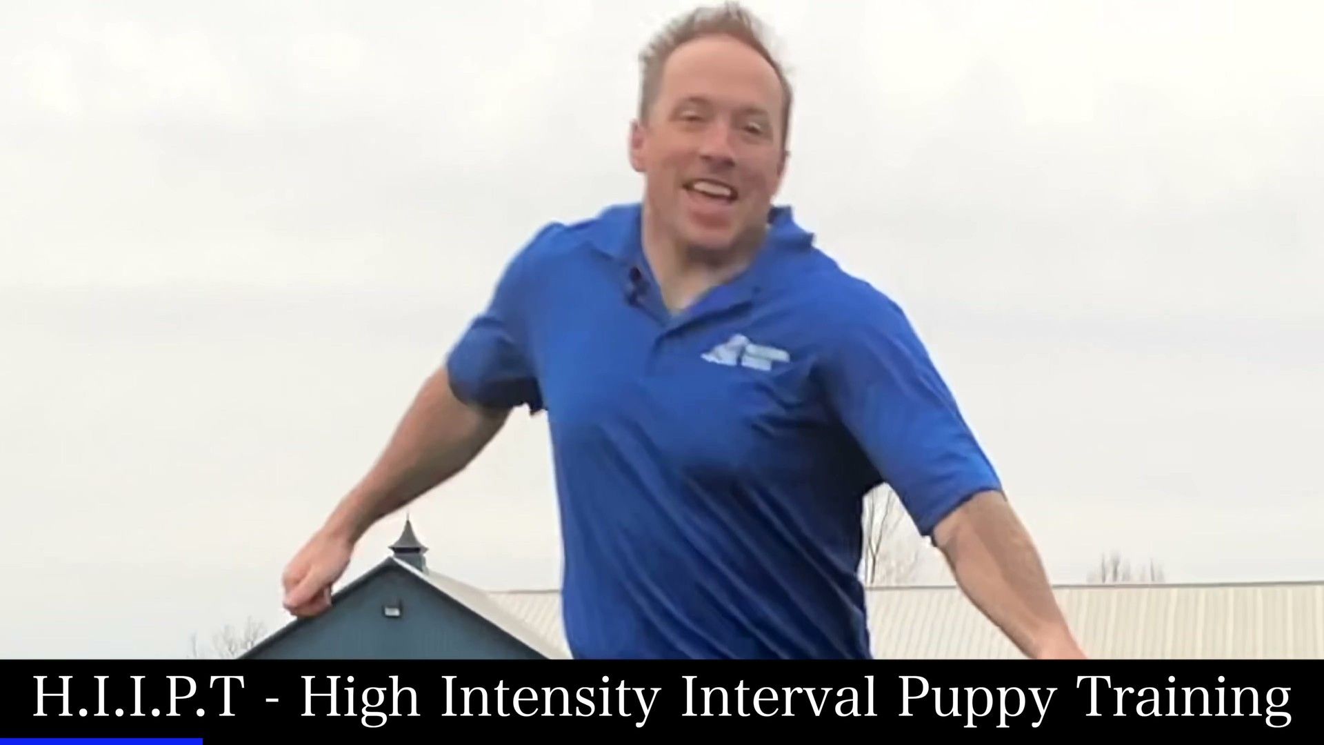 References Audit — evidence-based management for dogs