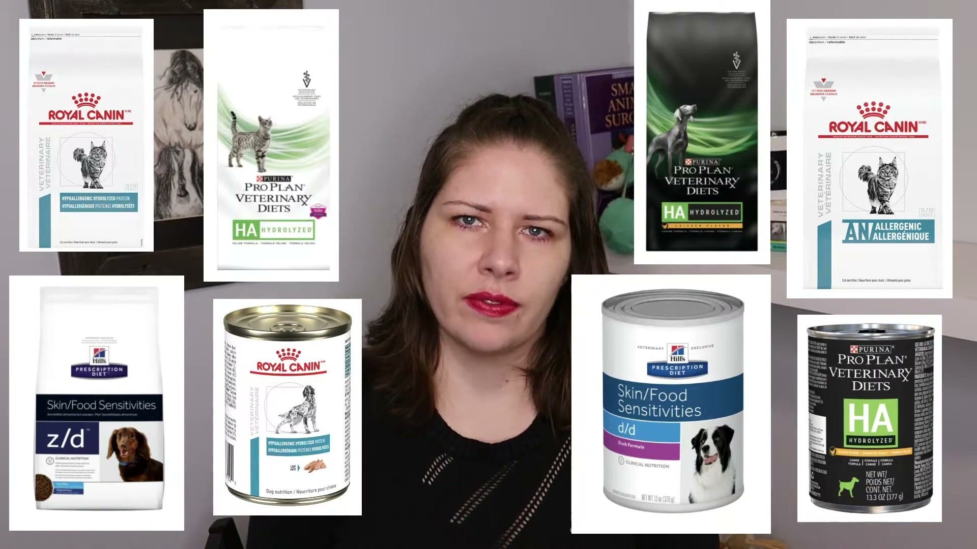 Elimination Diets for Dogs: Step-by-Step Allergy Protocol