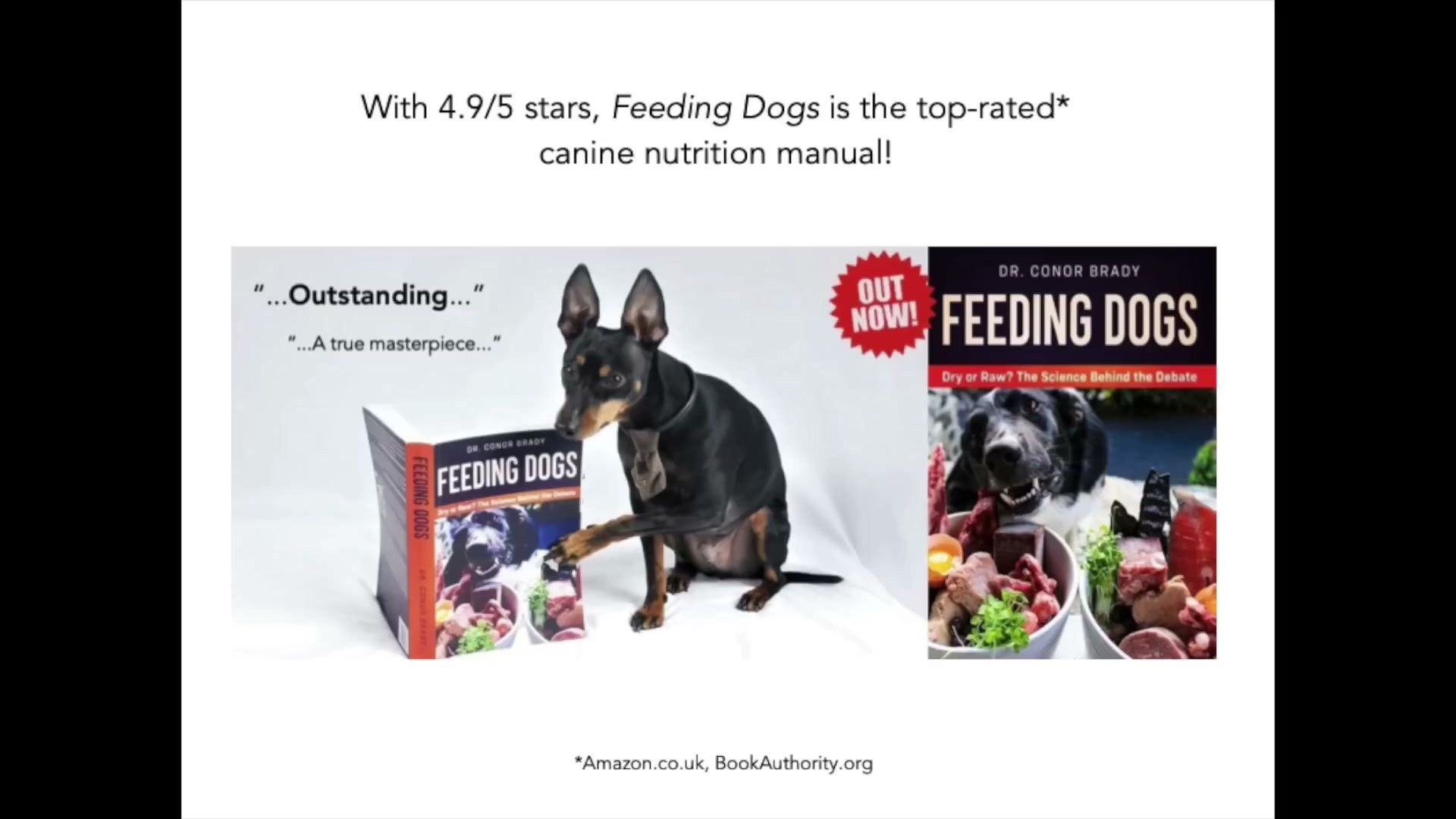 What Is a Food Allergy Elimination Diet? — detailed illustration for dog owners