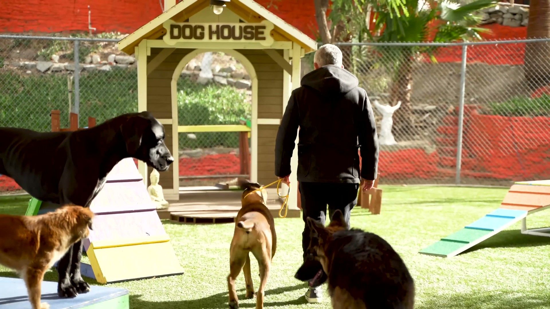 Loose Leash Walking: Training Methods That Actually Work