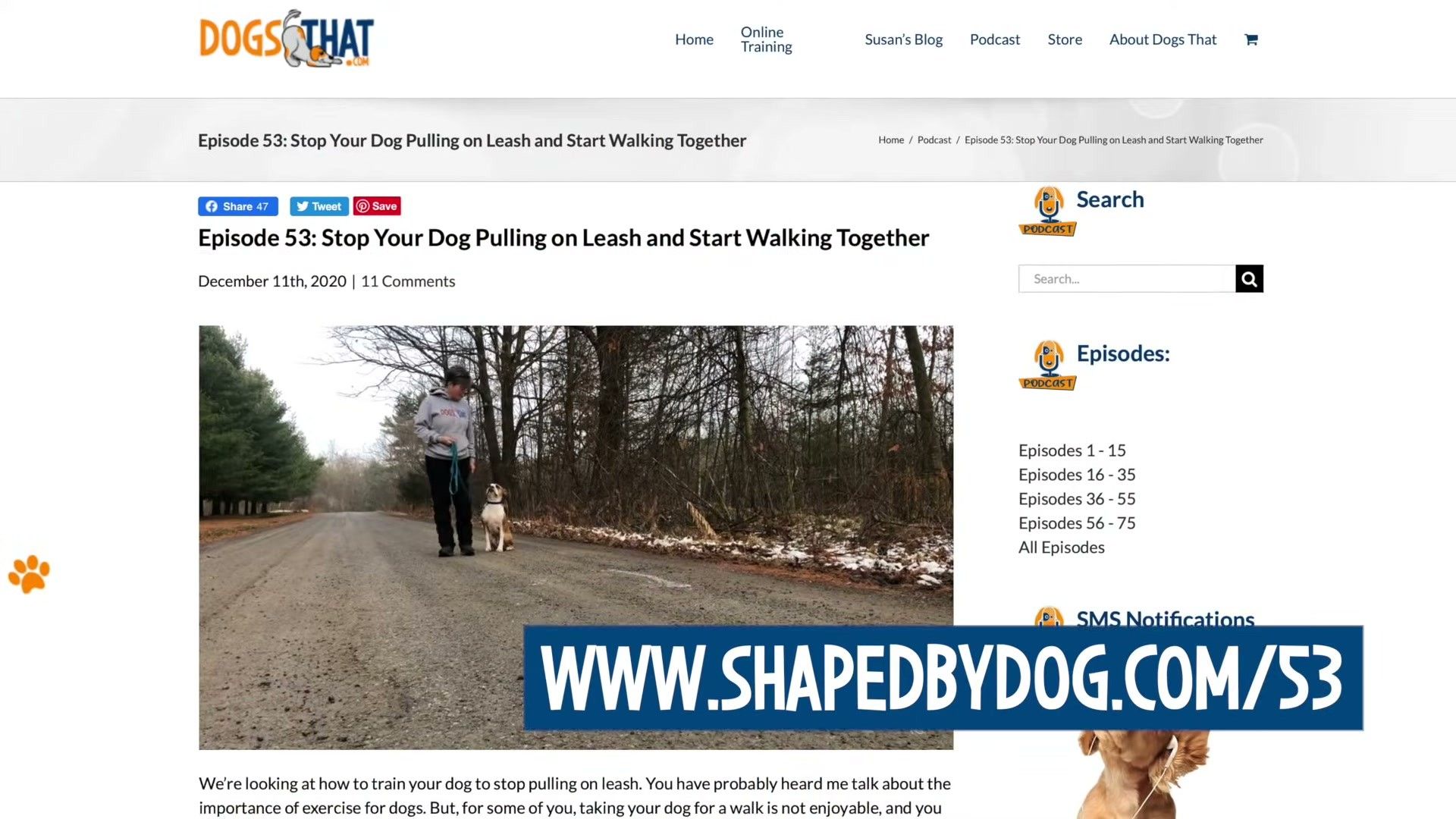 References Audit — evidence-based management for dogs