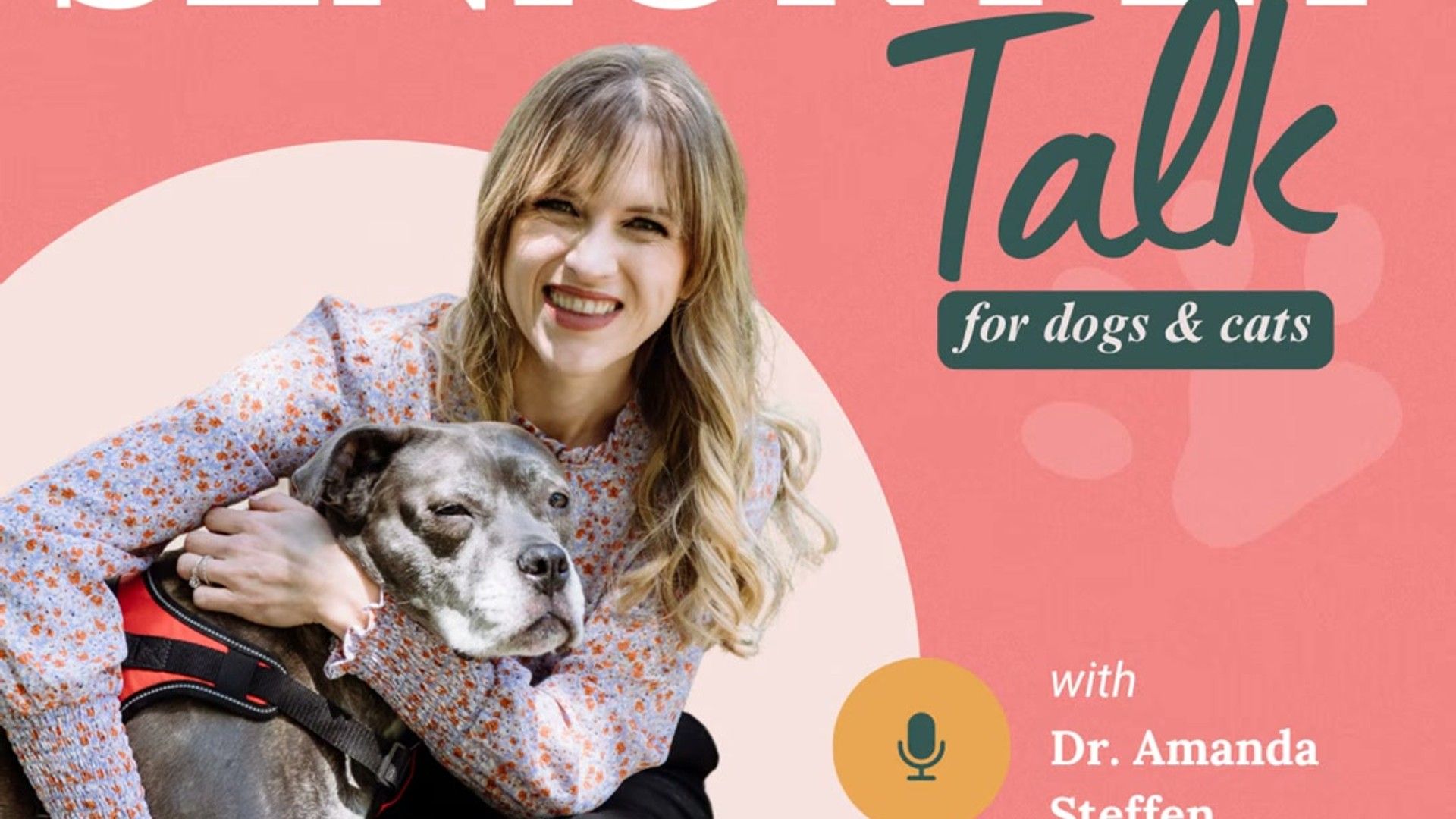 Protein Quality: Why Source Matters More Than Percentage — detailed clinical overview for dog owners