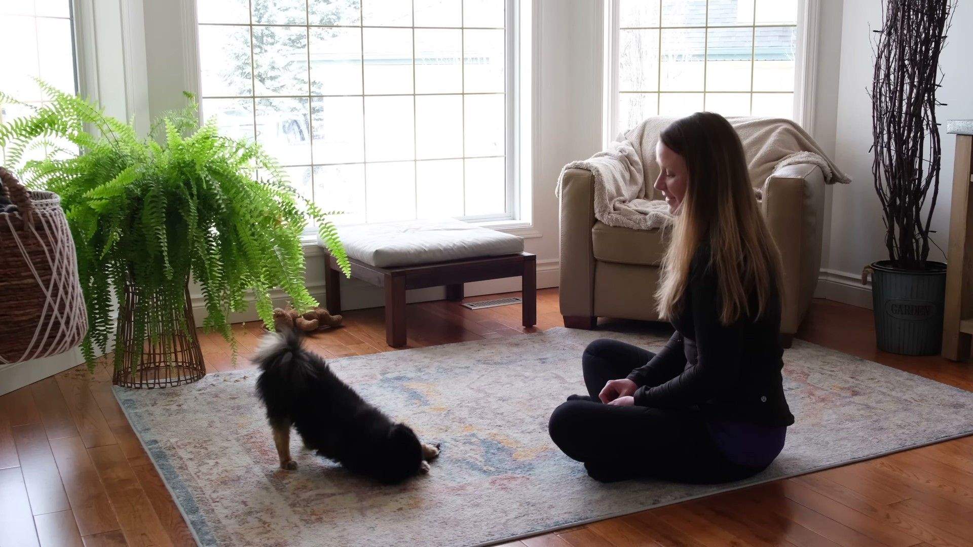 When to Seek Professional Help — evidence-based management for dogs