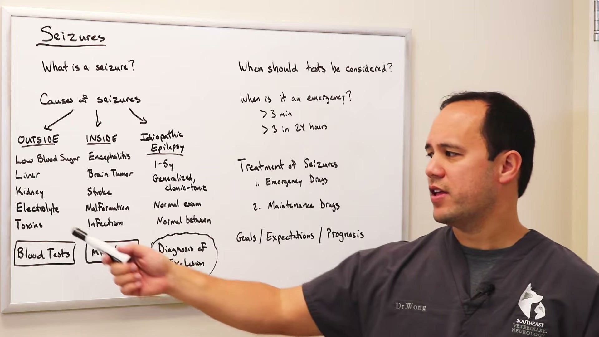 Quick Answer Audit — clinical signs and diagnosis
