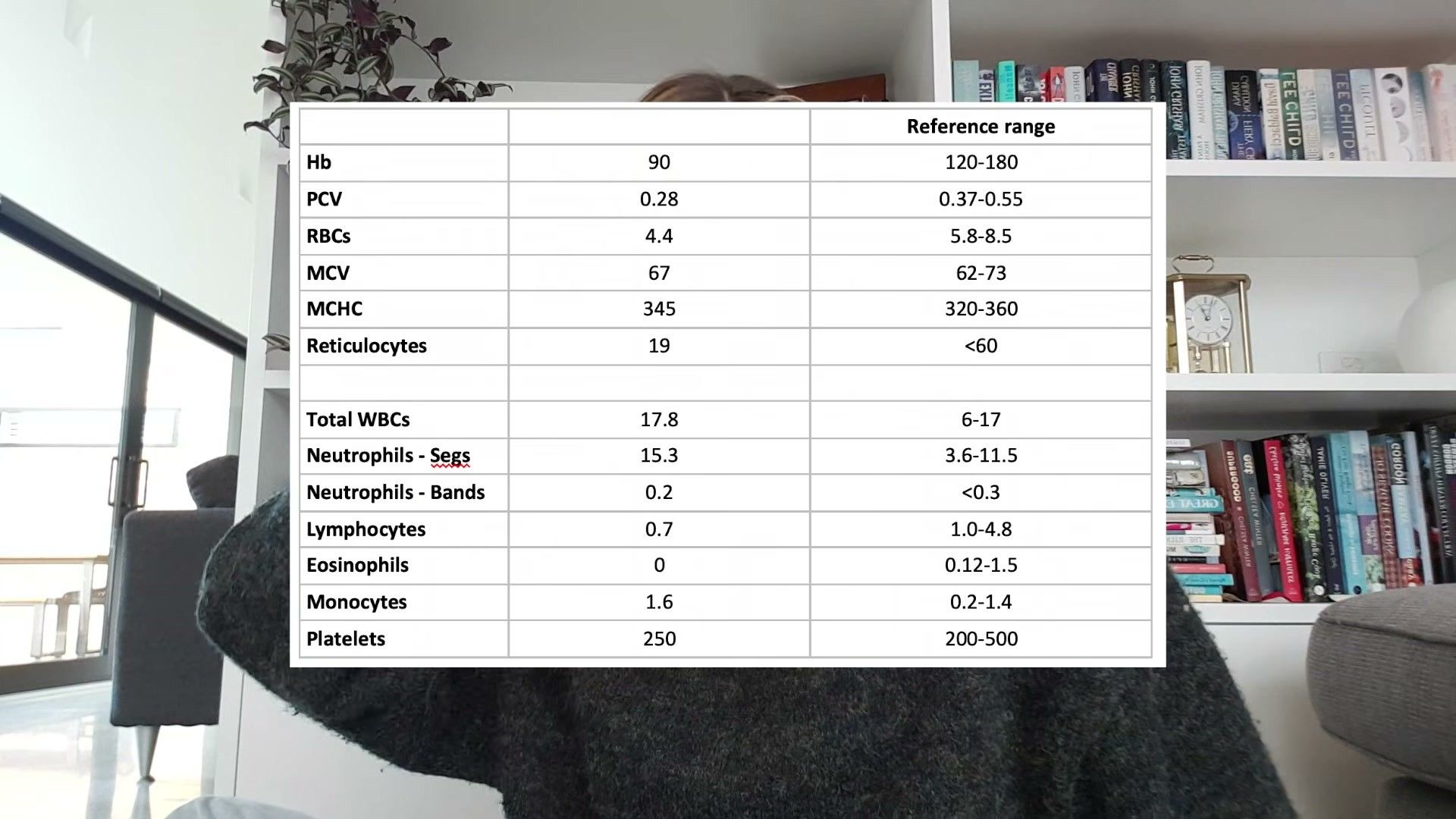 Key Takeaways Audit — veterinary assessment and treatment