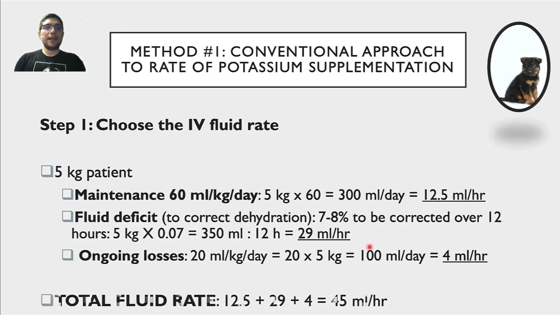 Supplementation Strategies and Dosage — detailed clinical overview for dog owners