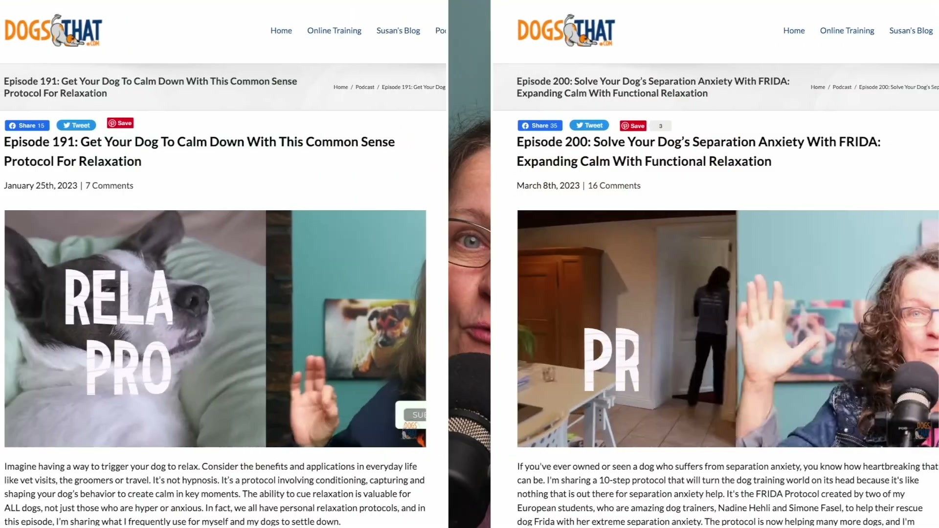 Special Cases: Puppies, Reactive Dogs, and Dogs With Medical Needs — detailed clinical overview for dog owners