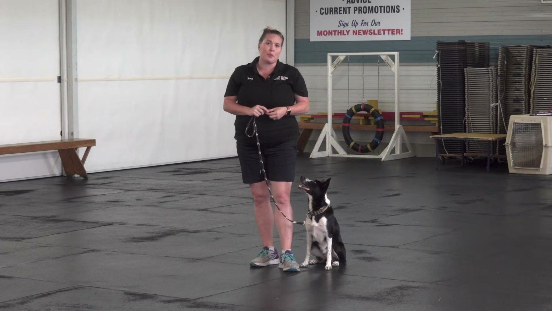 Why the "Leave It" Command Is a Life-Saving Skill — detailed clinical overview for dog owners