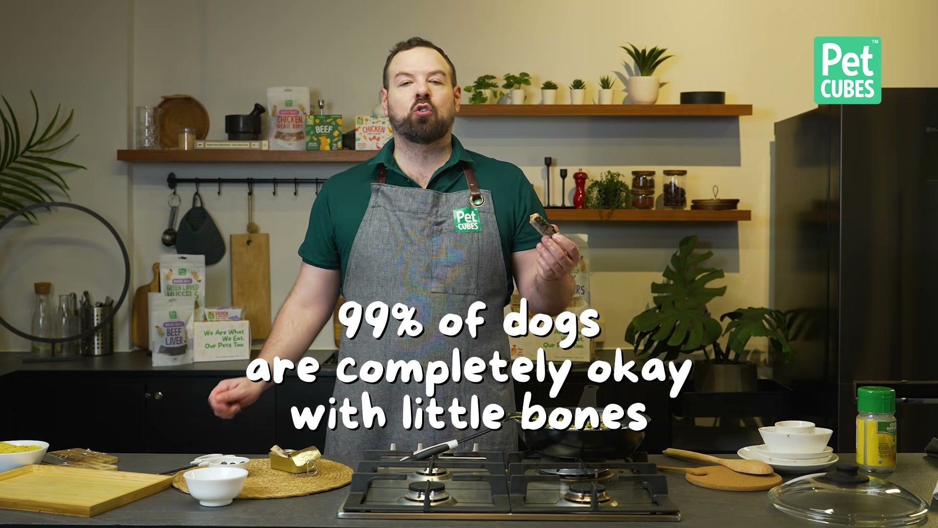 Why Balanced Homemade Dog Food Matters — detailed clinical overview for dog owners
