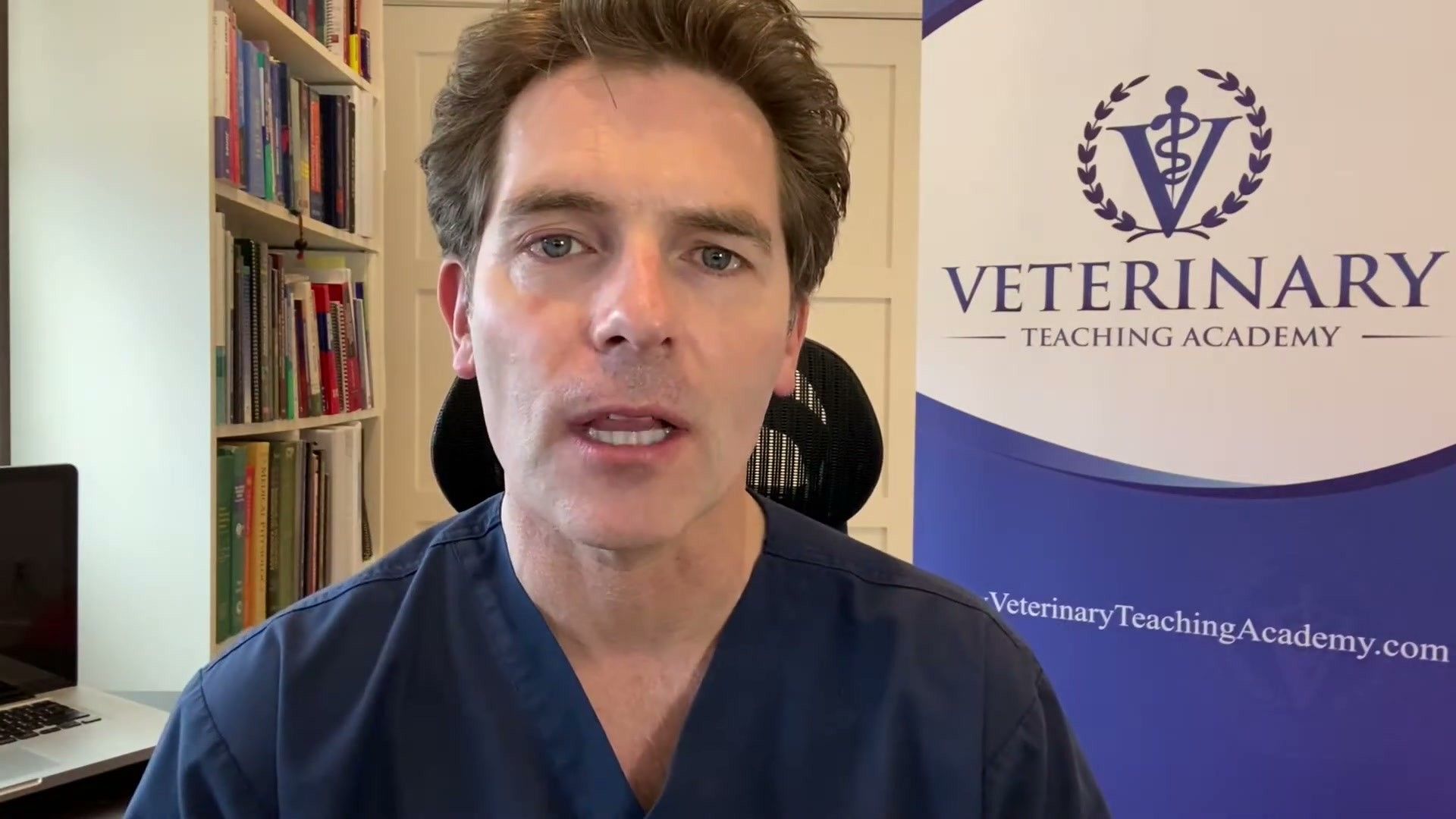 Exercise and Activity Programming — detailed clinical overview for dog owners