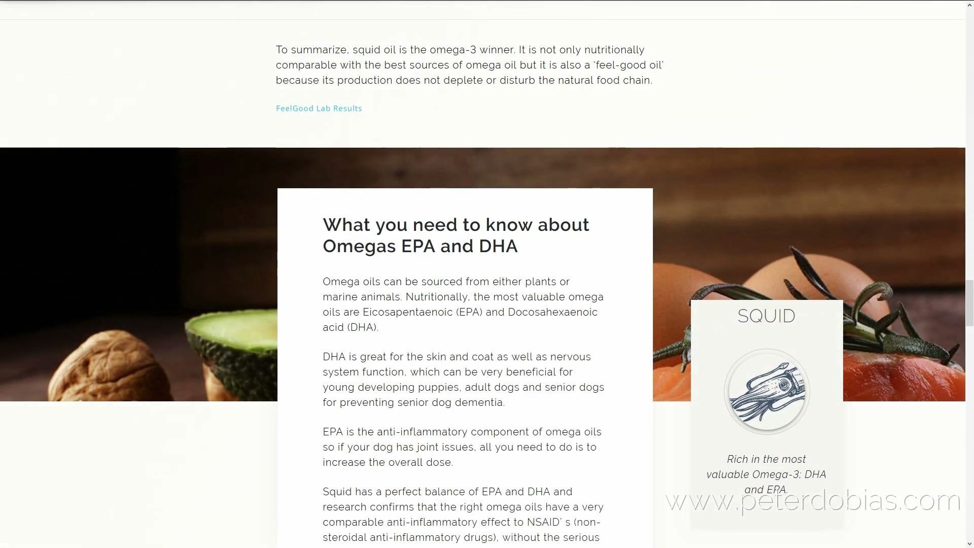 Collection of canine supplements including fish oil and probiotics