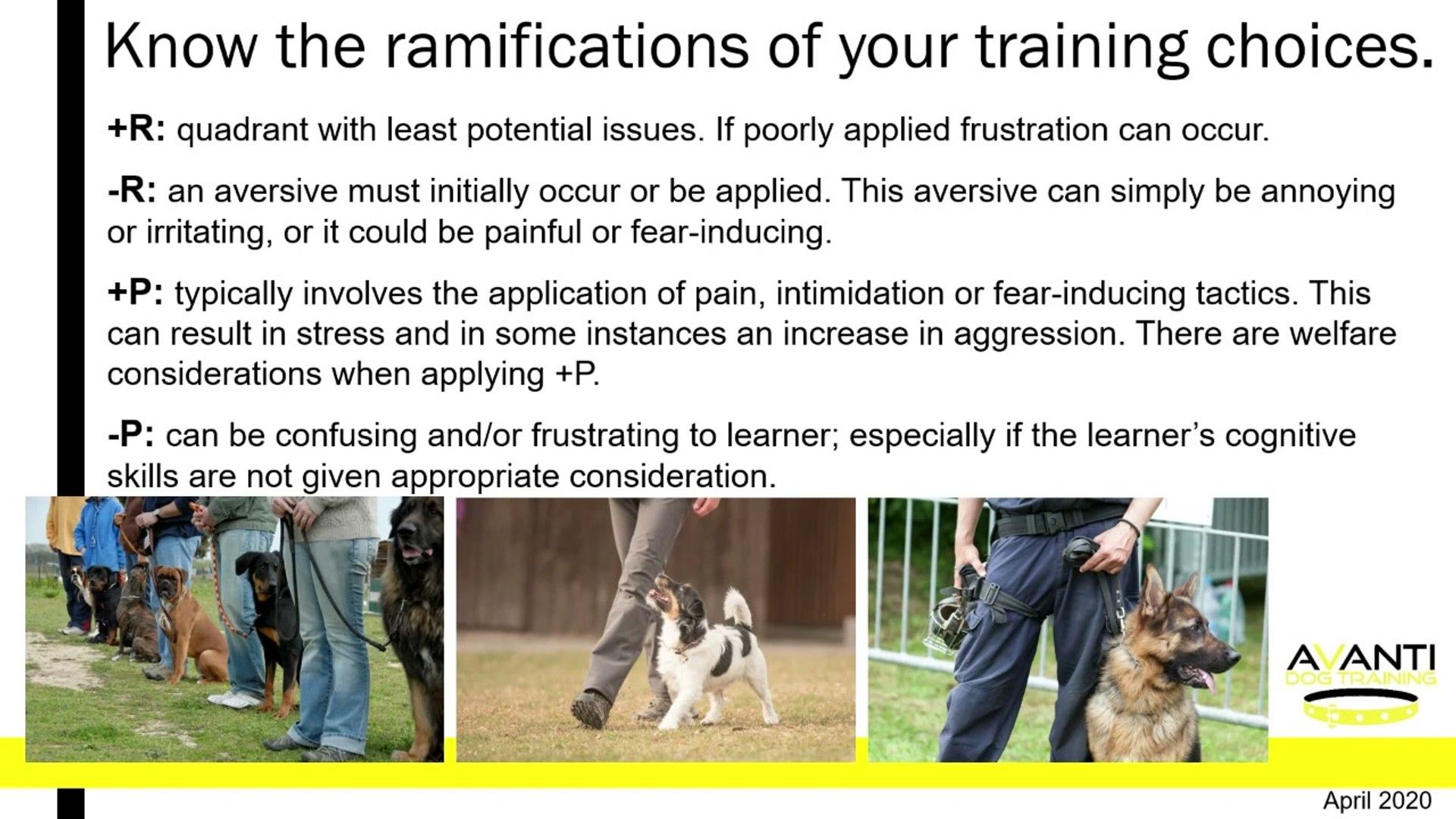The Science of Operant Conditioning — detailed clinical overview for dog owners
