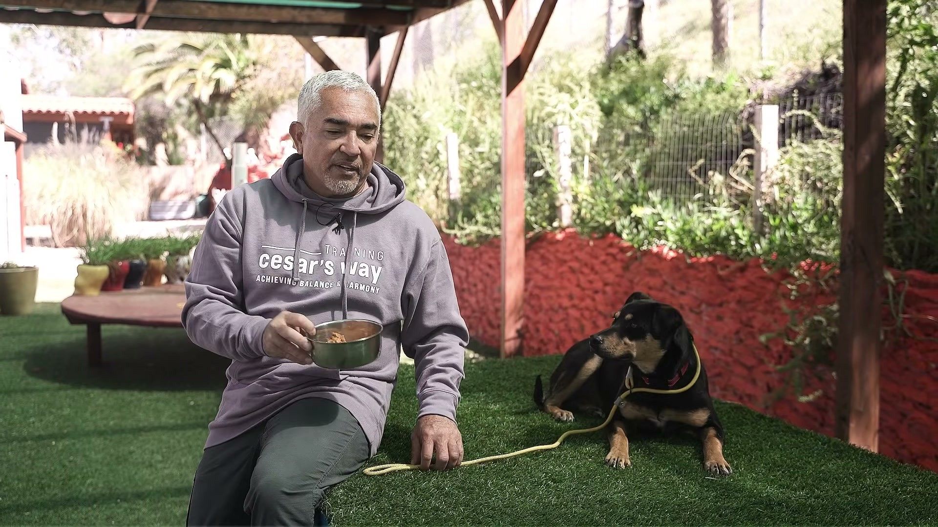 How to Switch Dog Food Without Upset Stomach: A Week-by-Week Schedule