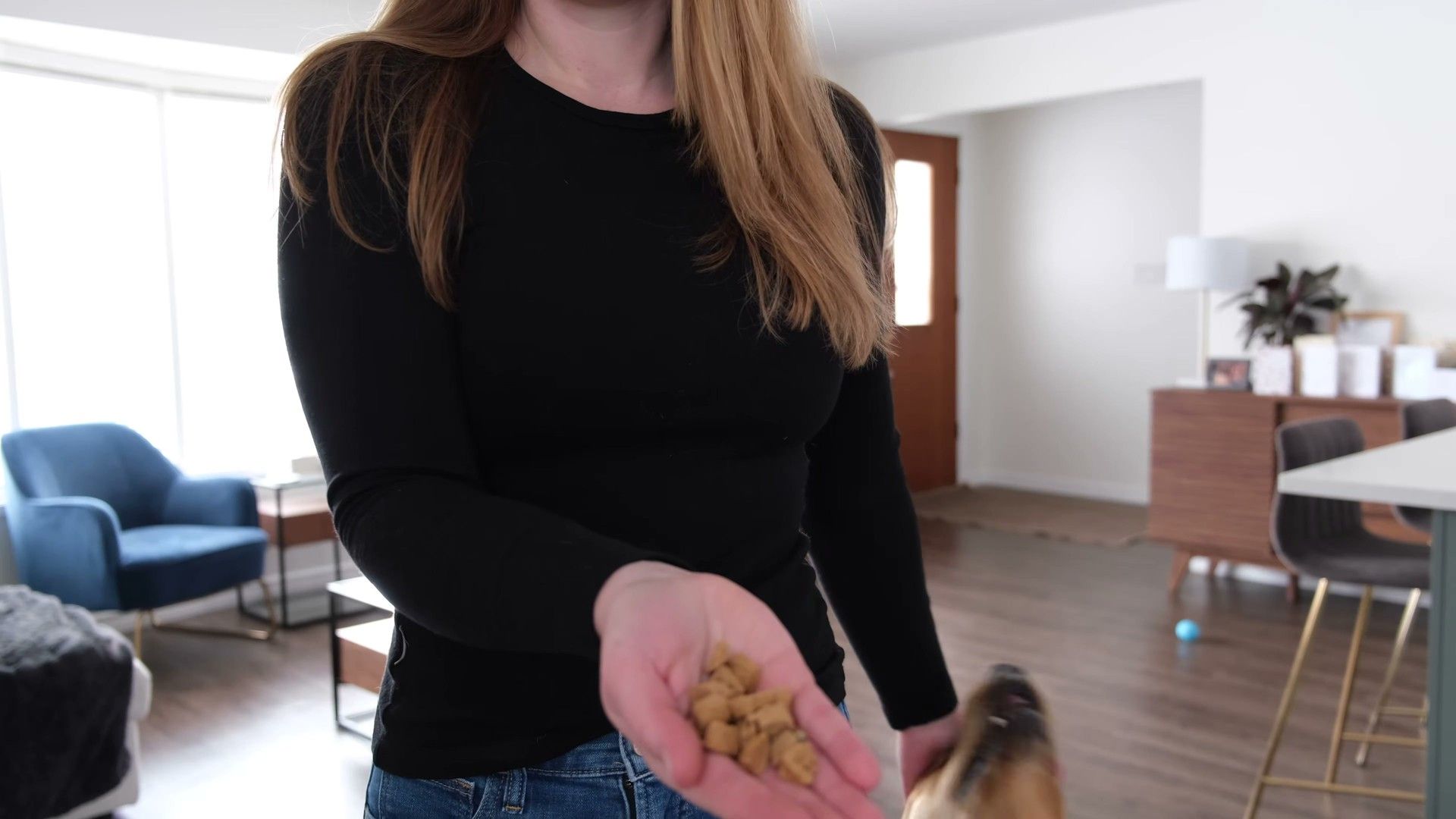 Owner demonstrating the stop-and-wait method with dog creating slack in leash