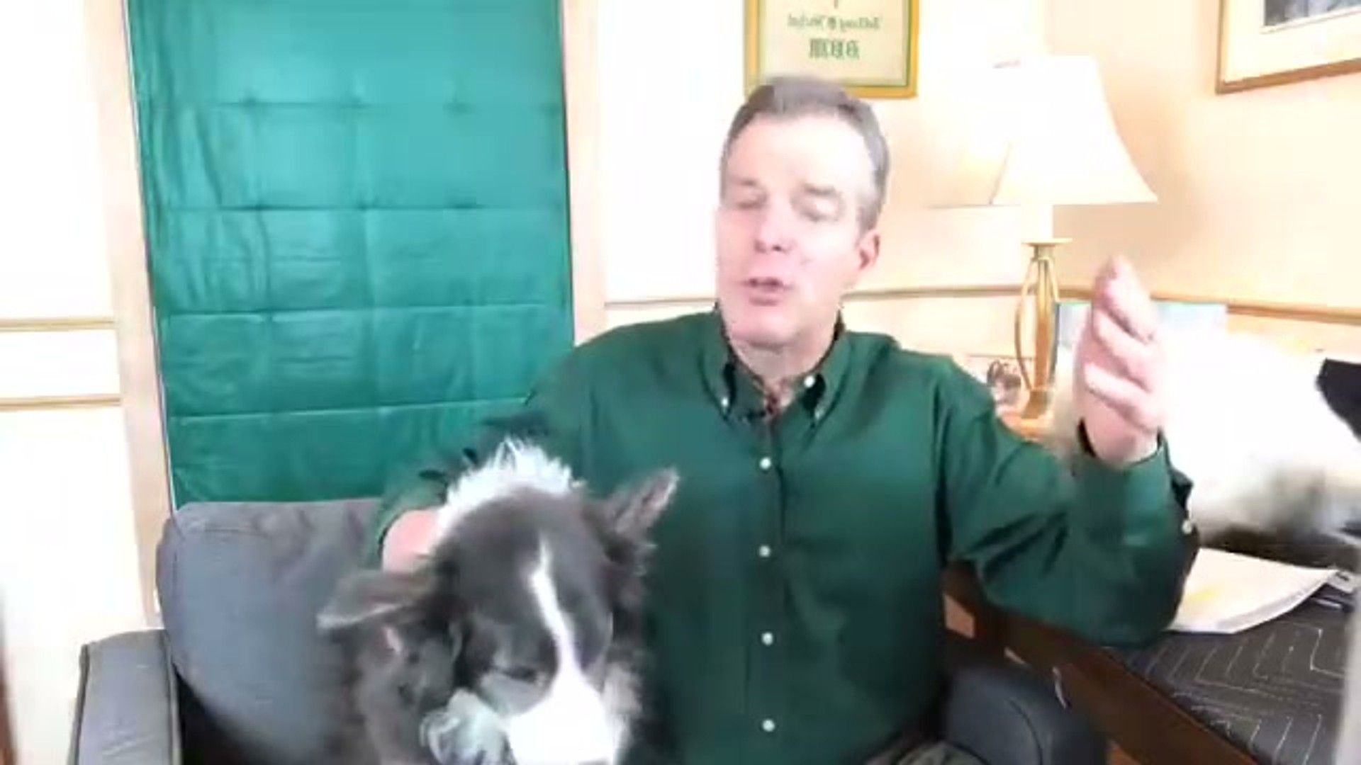 Separation Anxiety in Dogs: Evidence-Based Treatment Guide
