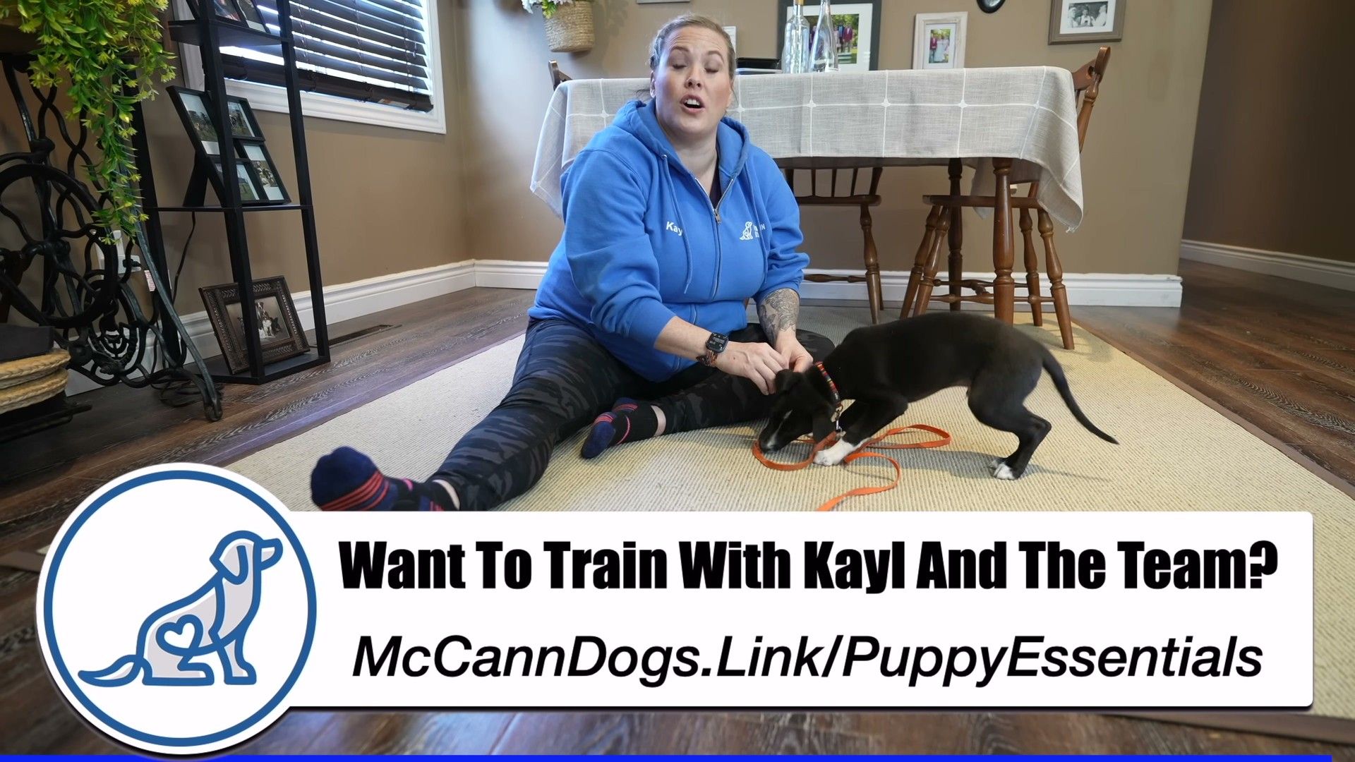 Common Mistakes to Avoid — detailed clinical overview for dog owners