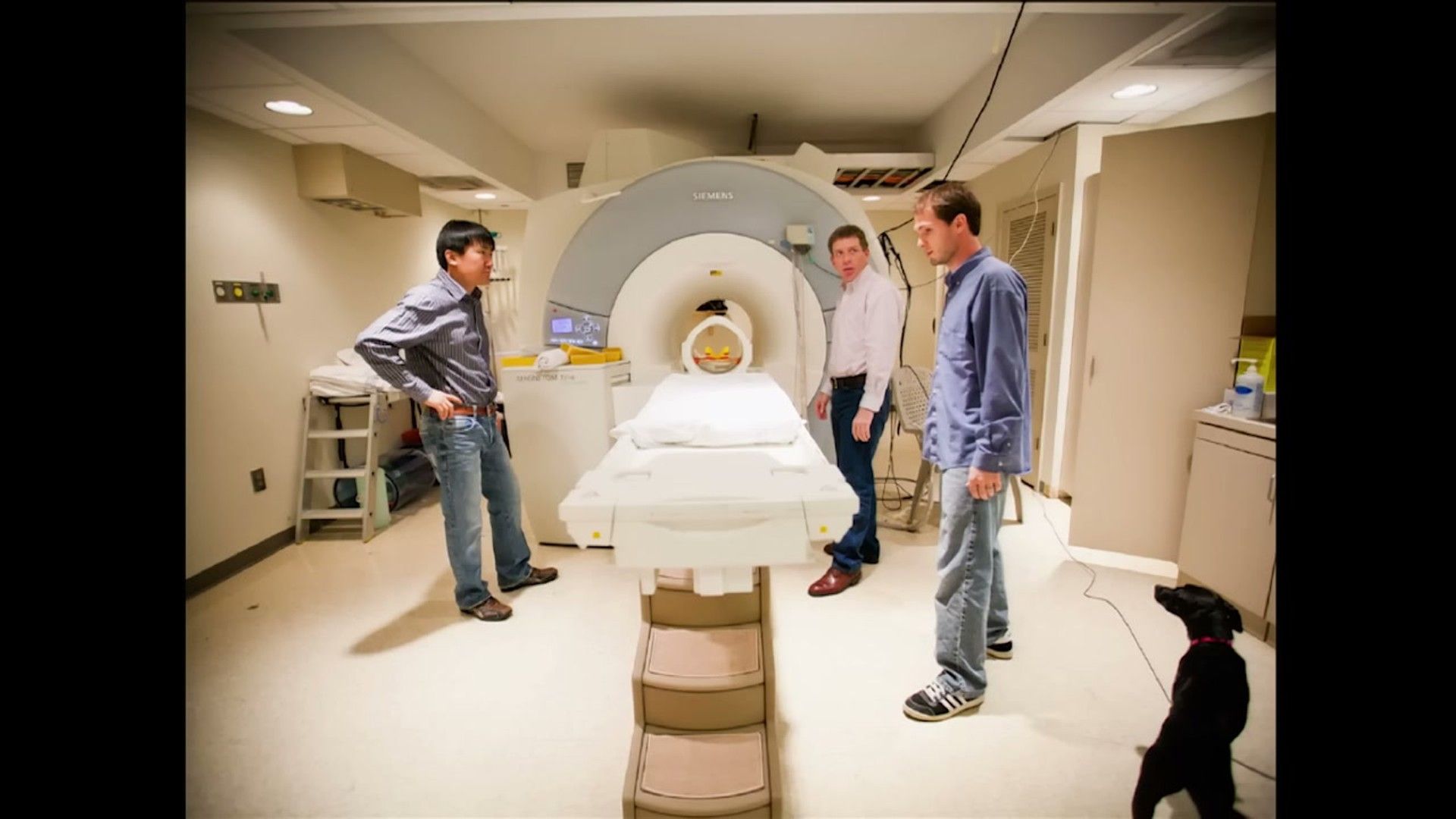 Dog brain scan showing neural pathways activated during reward-based training
