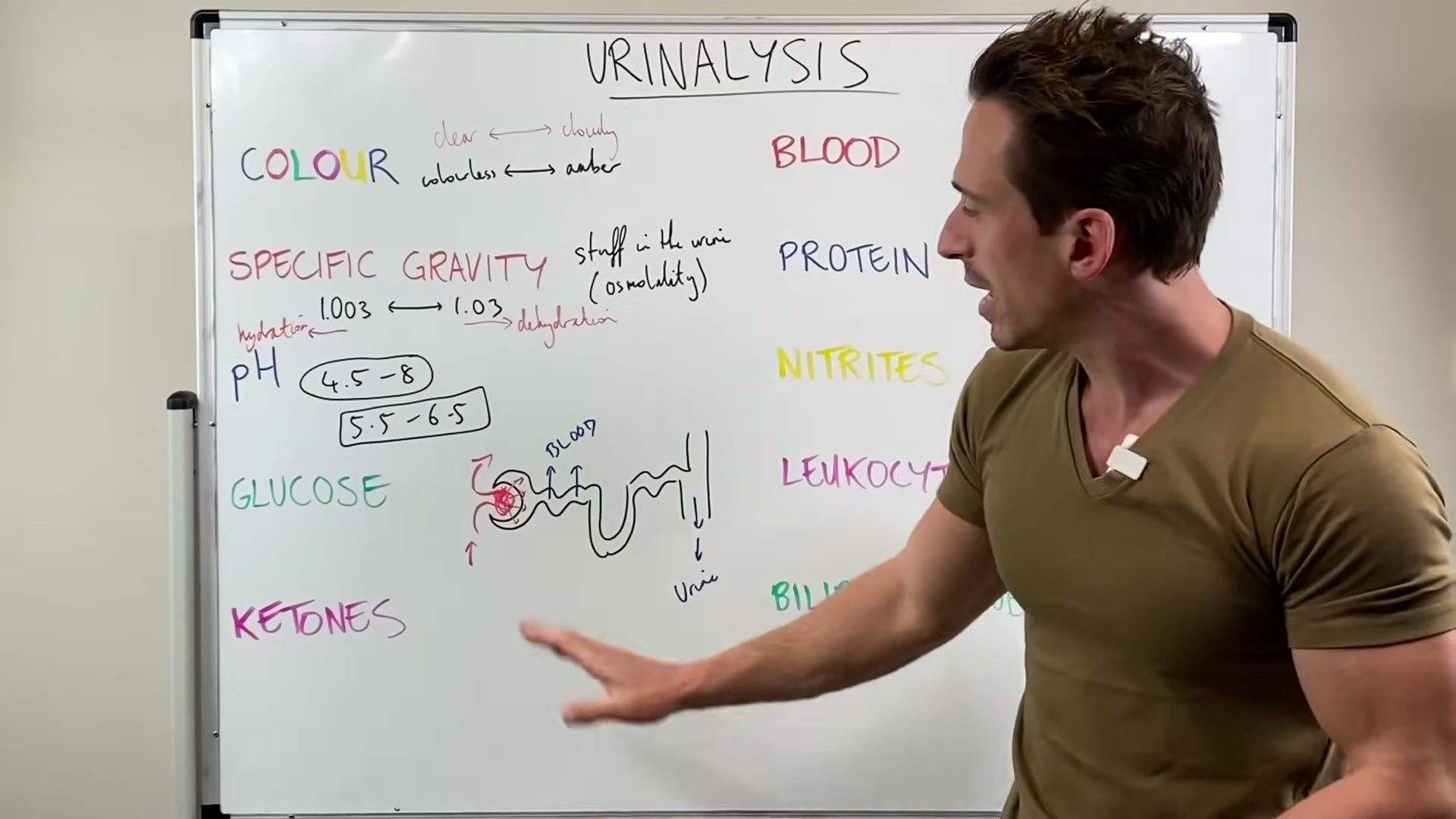 The Step-by-Step Elimination Protocol — clinical signs and diagnosis
