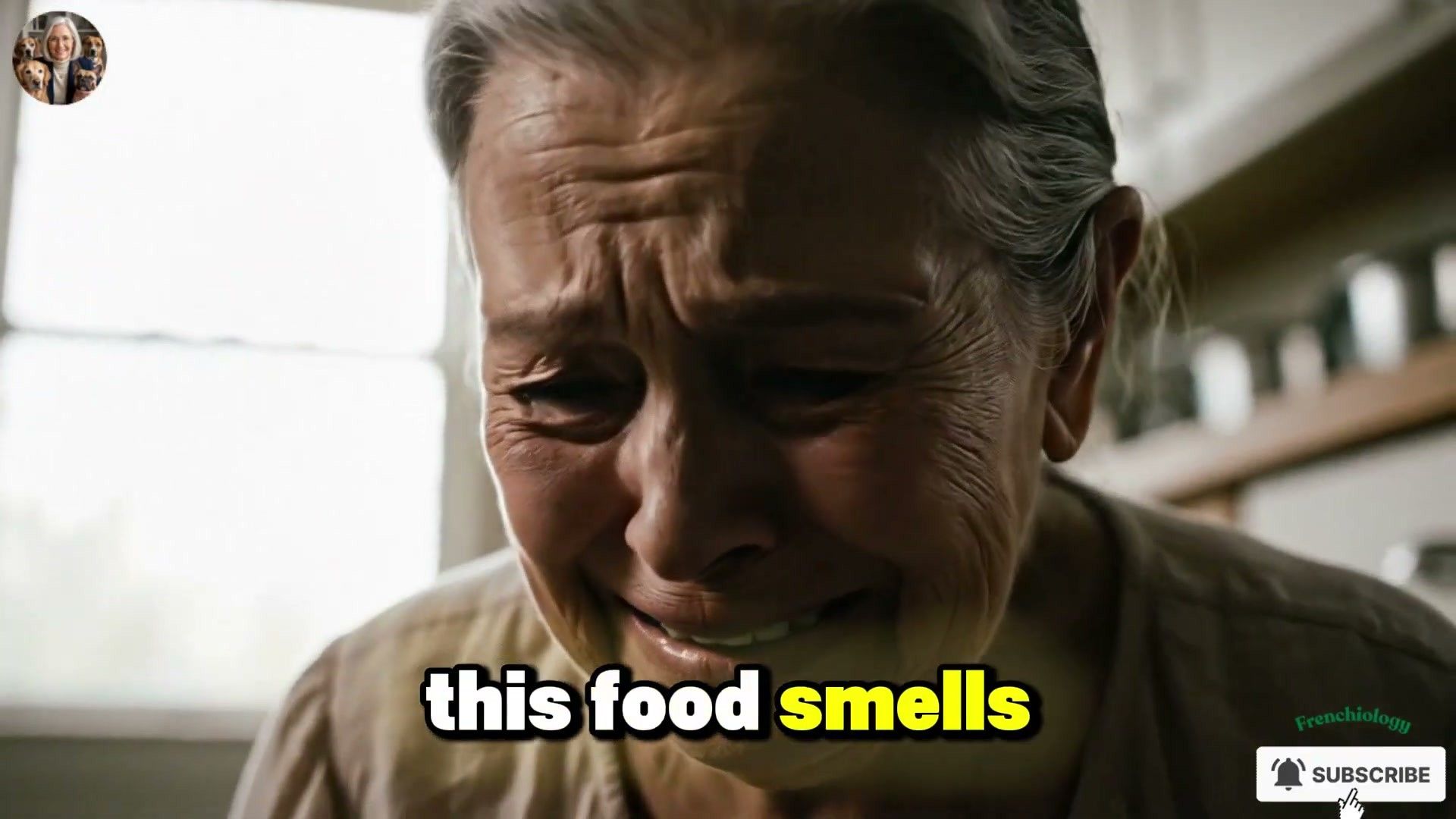 Older dog eating senior-formulated food from a raised bowl