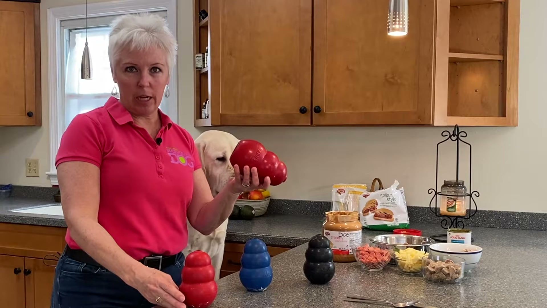 References Audit — evidence-based management for dogs