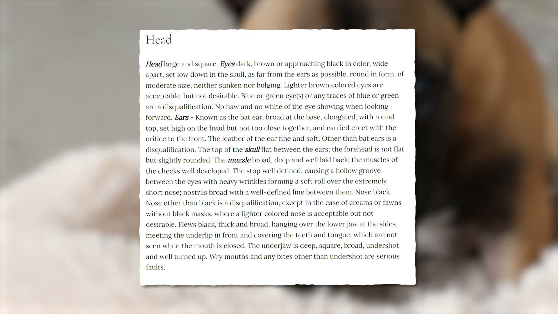 Large Breed Health Profiles: Labs, Goldens, GSDs, Rottweilers & Poodles — clinical signs and diagnosis