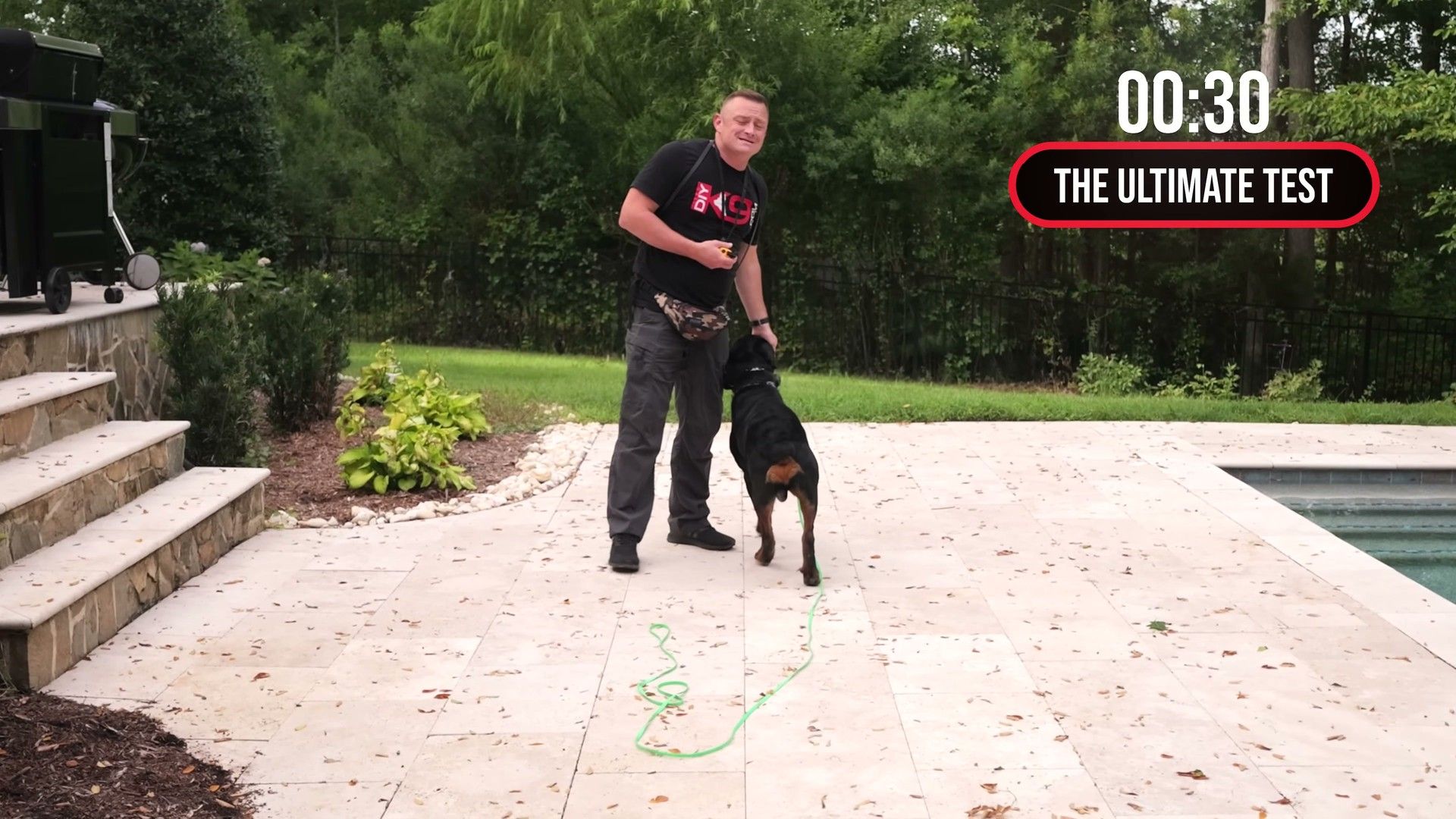 References Audit — evidence-based management for dogs