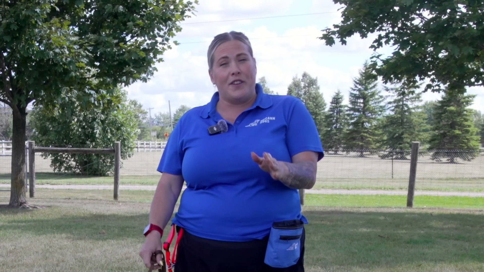 How to Stop Leash Pulling: The Force-Free Walking Guide (Evidence-Based, Step-by-Step)