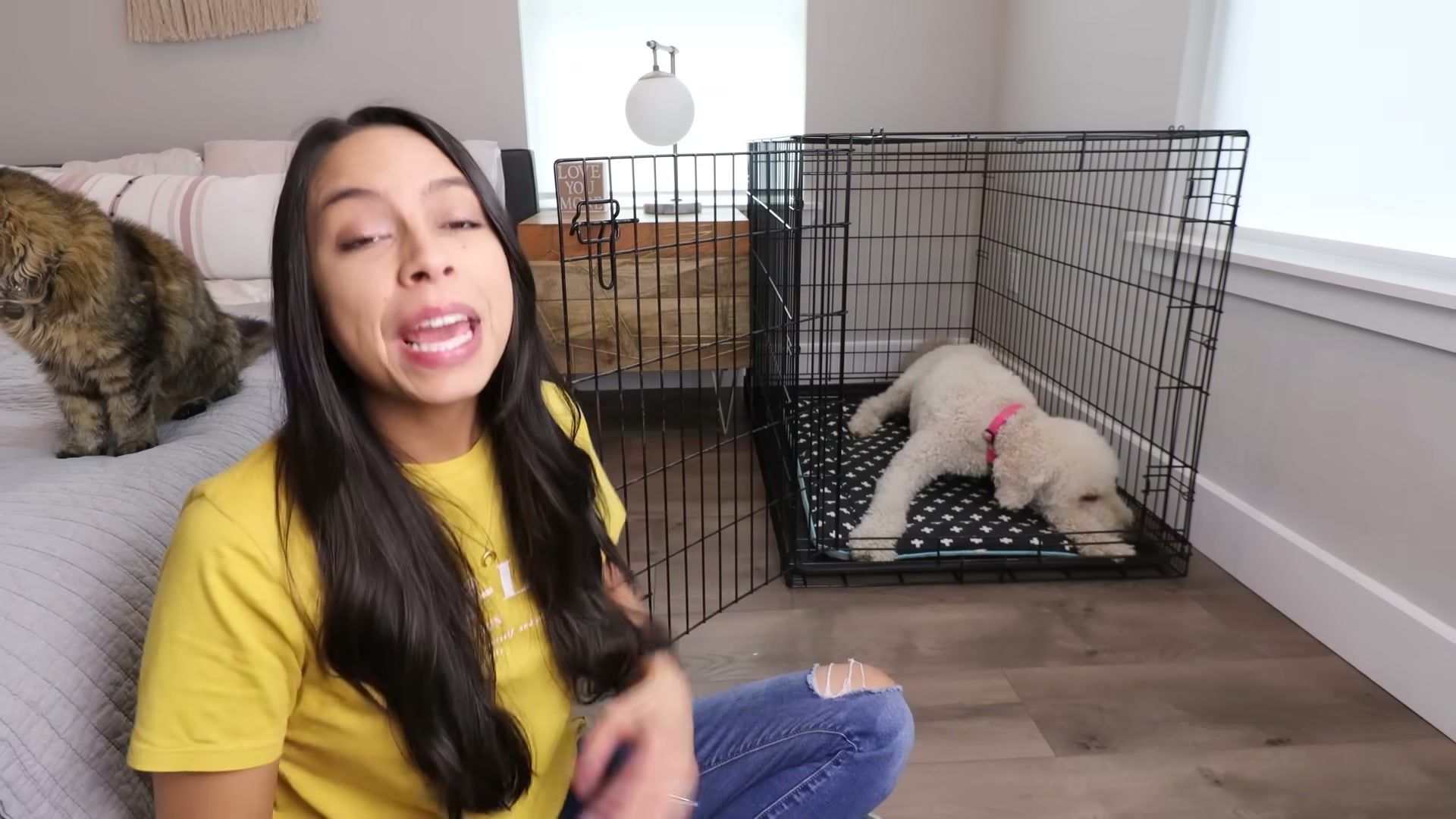 Crate Training for Dogs: The Complete Guide (Evidence-Based, Step-by-Step)