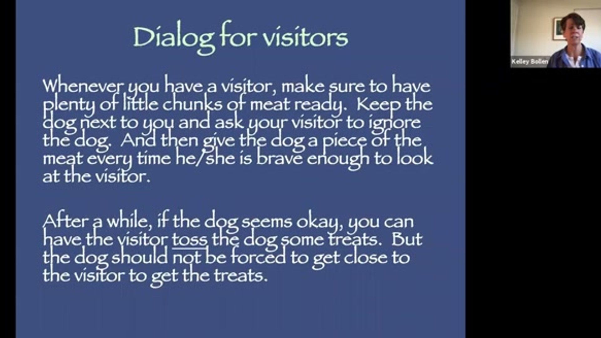 Why Your Dog Can't Be Alone: The Complete Graduated Exposure Guide