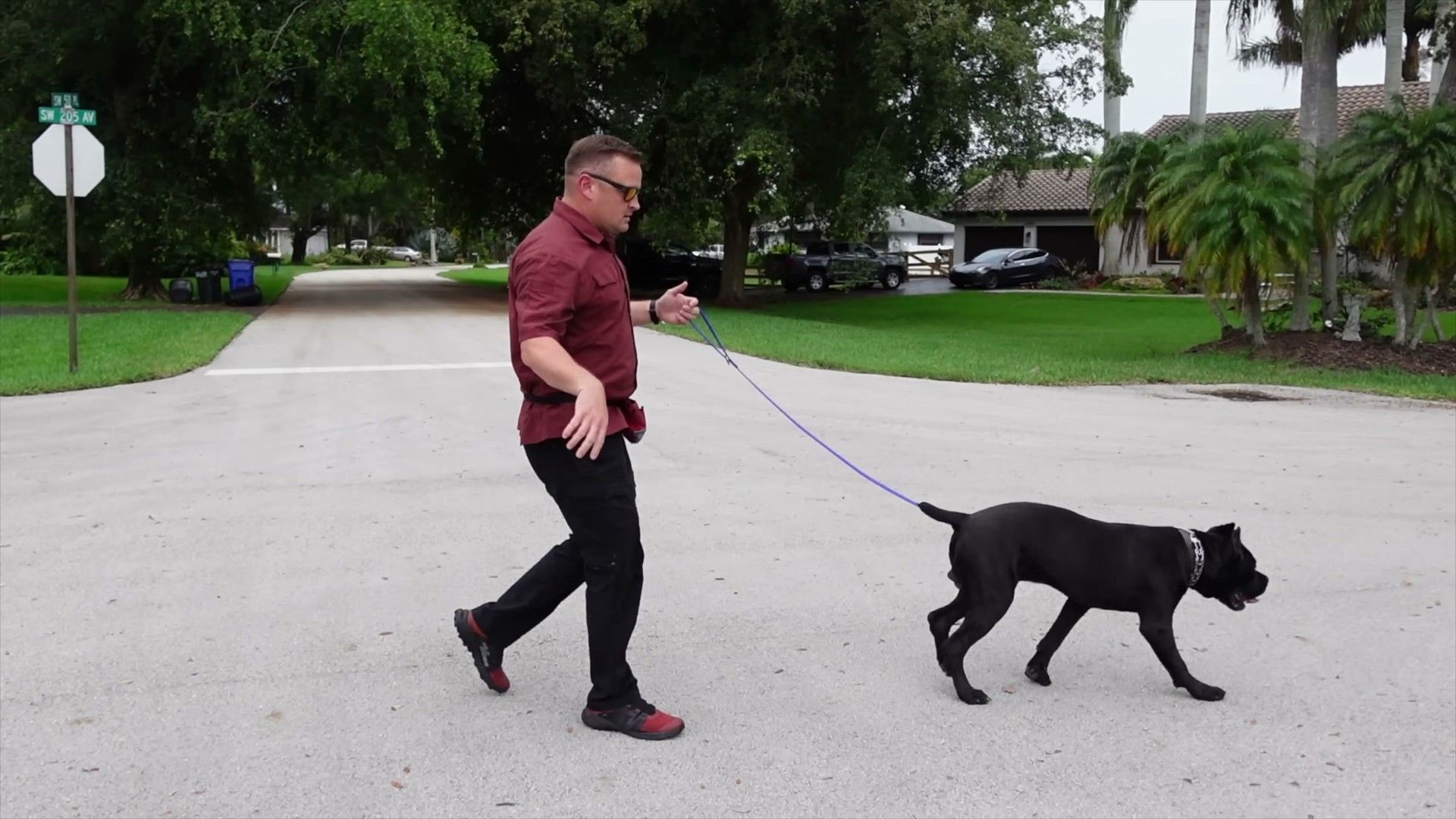 Owner executing a 180-degree turn while walking dog to redirect pulling behavior