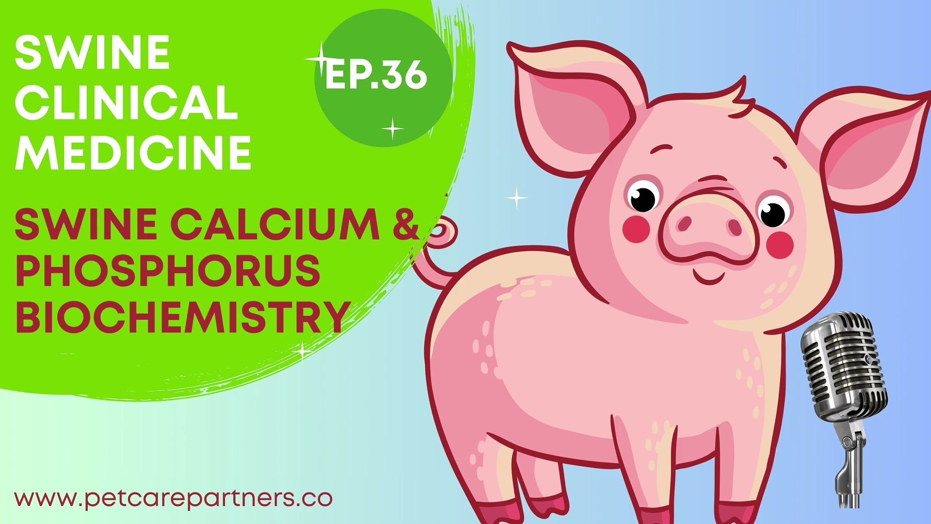 Calcium:Phosphorus Ratio and Sources — detailed clinical overview for dog owners