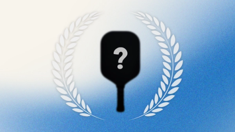 A black paddle marked with a white question mark, framed by a laurel wreath on a blue gradient.