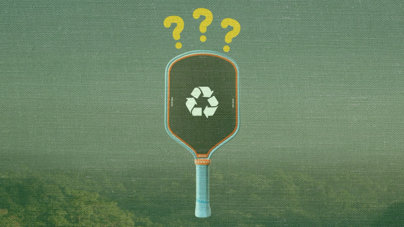 Illustration of a paddle bearing a white recycling symbol against a green landscape, with three question marks above it.