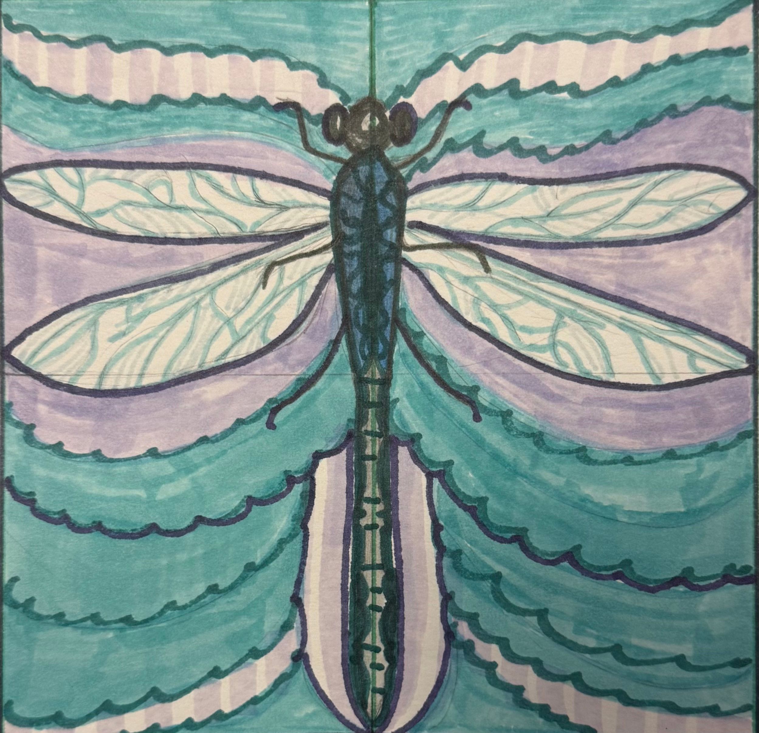 Symmetry: Dragonfly