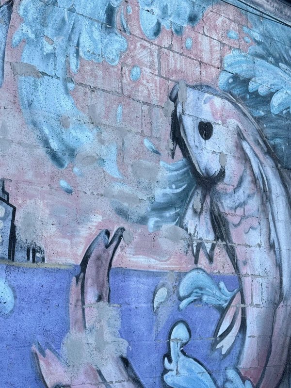 Street art mural in Hintonburg, Ottawa - Urban art photography