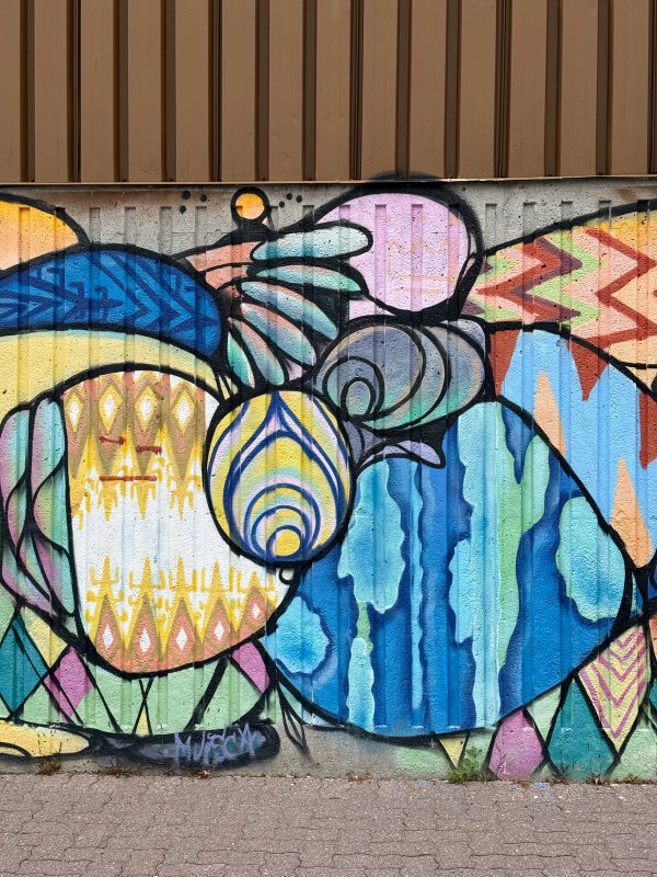 Summer ACFO Collaboration  street art mural photo 3