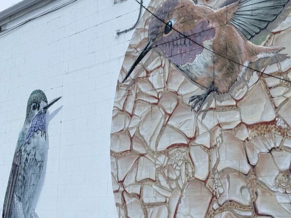 Untitled by Rene-Pierre Beaudry (ARPi) - Mural in Hintonburg, Ontario