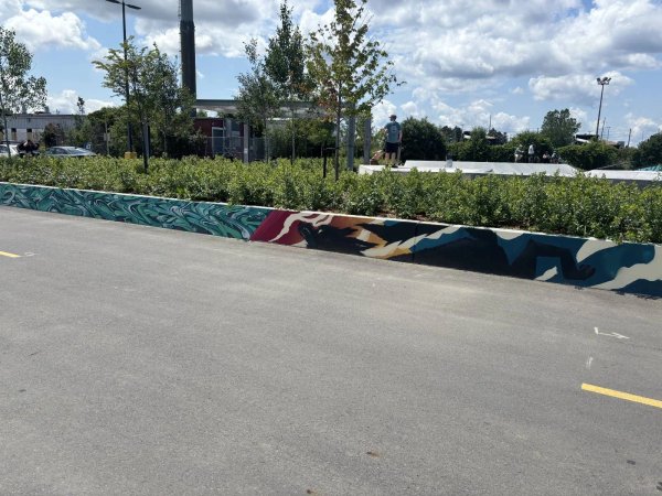 Stefan Wenek Skate Park by Style Over Status - Street art mural in Orléans Industrial, Ottawa, Ontario
