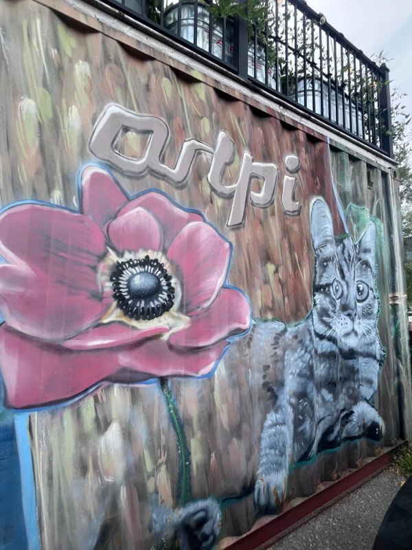 Mural artwork by Arpi - Street art in West Carleton-March, Ottawa, Ontario